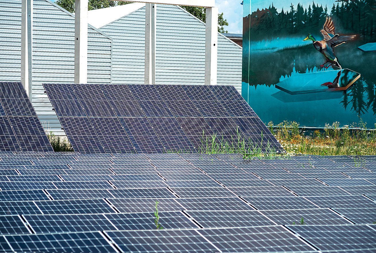 Agro PV. Agrofotowoltaika w Rawlplug.